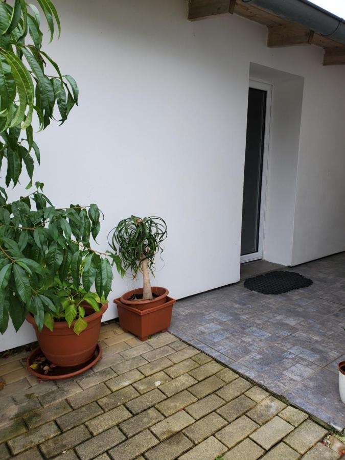 Apartman Stary Liskovec Apartment Brno Exterior photo